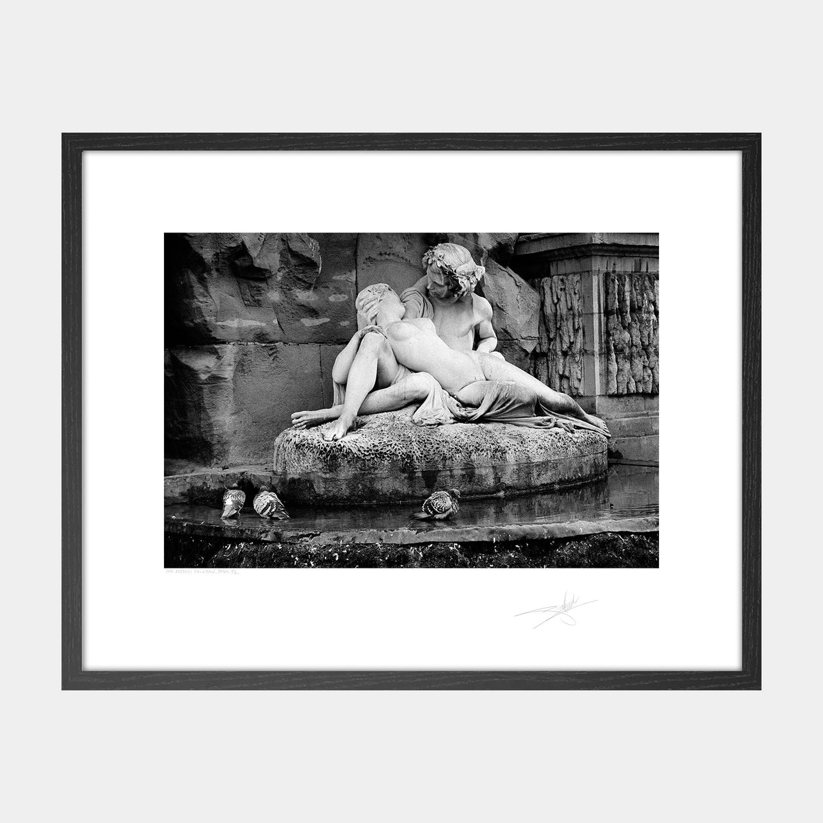 The Medici Fountain
