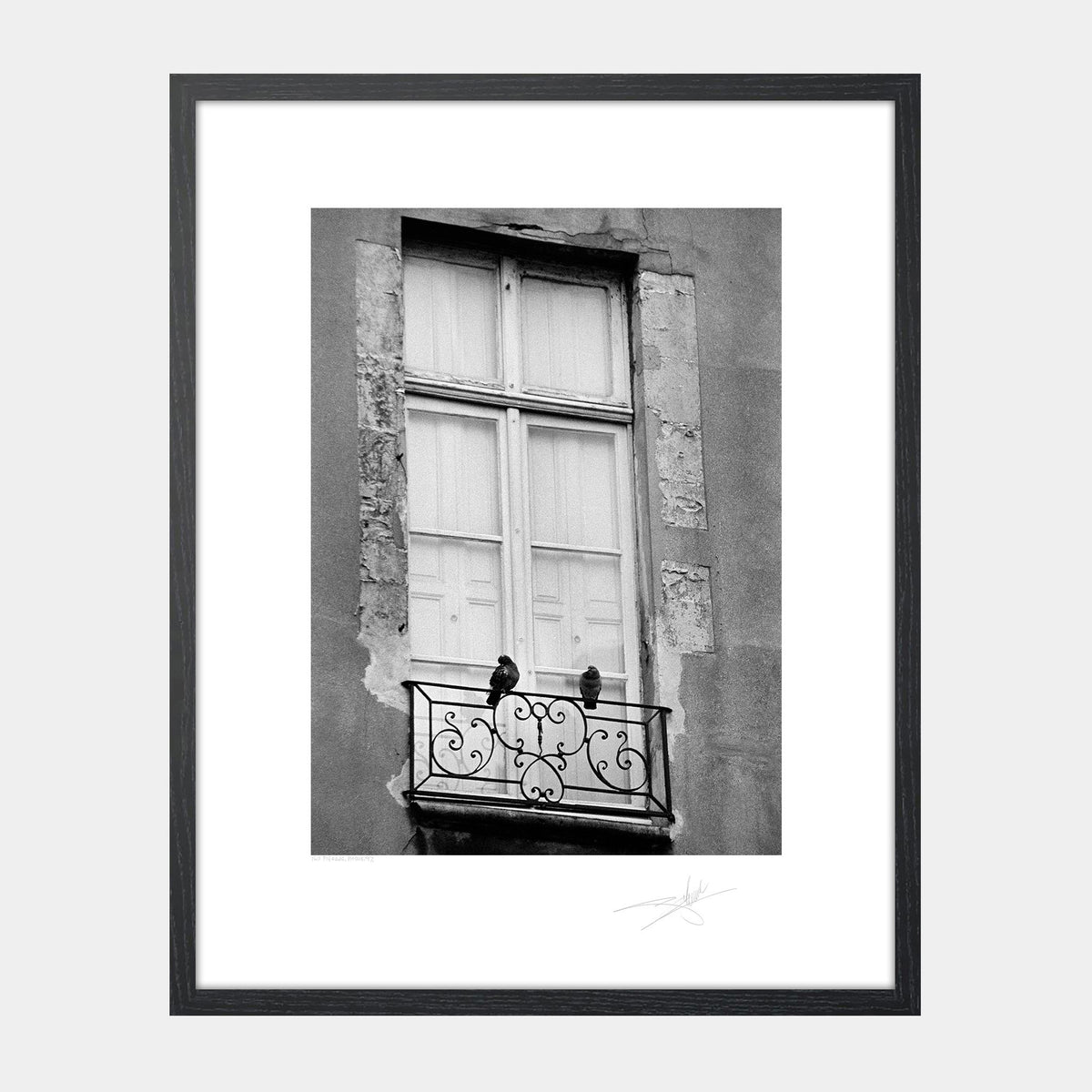 Two Pigeons