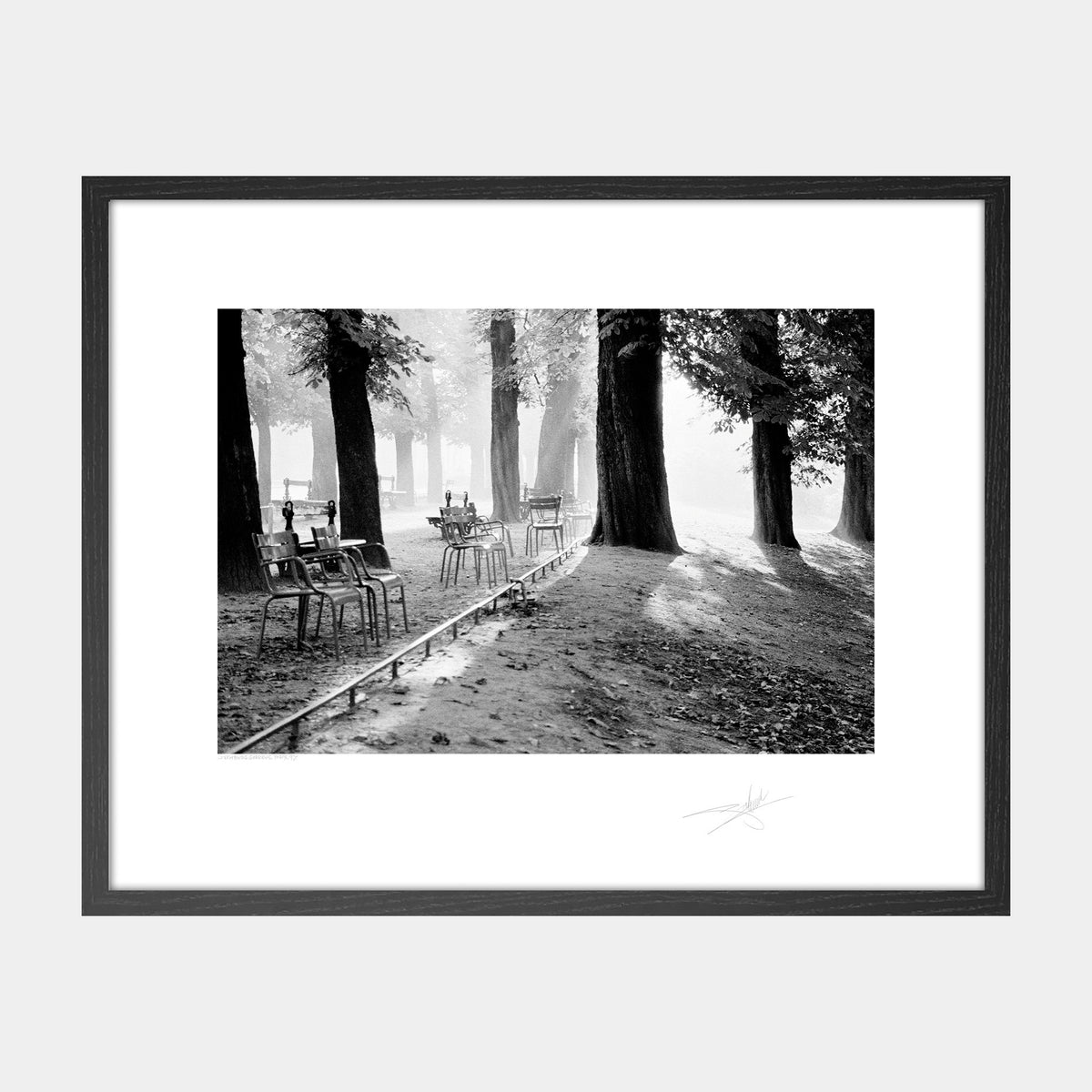 Luxembourg Gardens