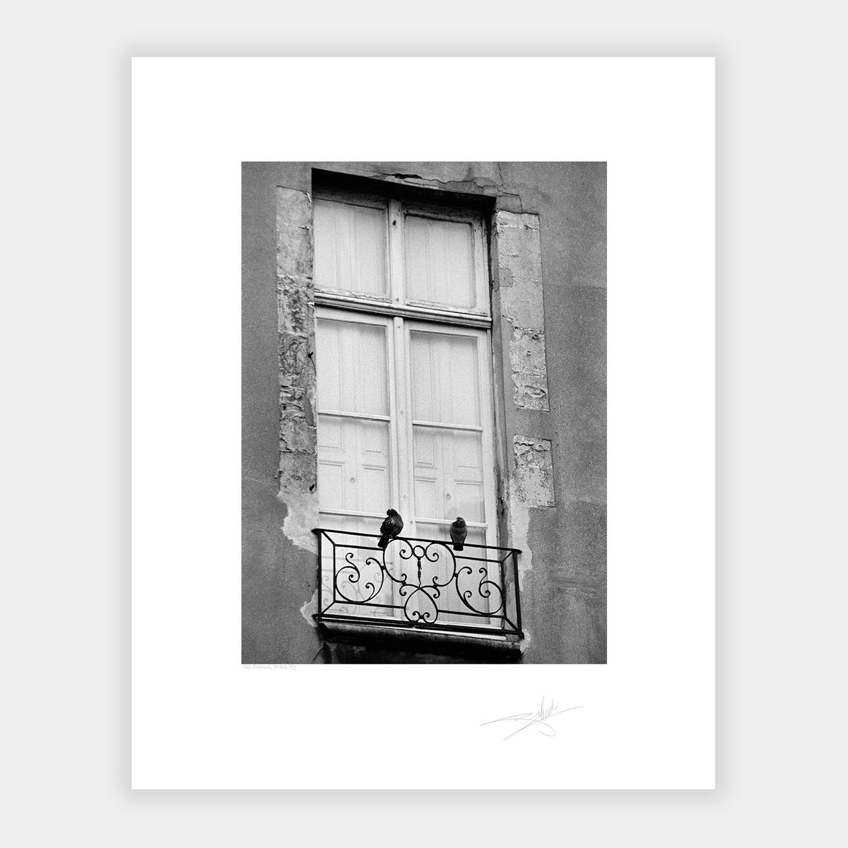 Two Pigeons