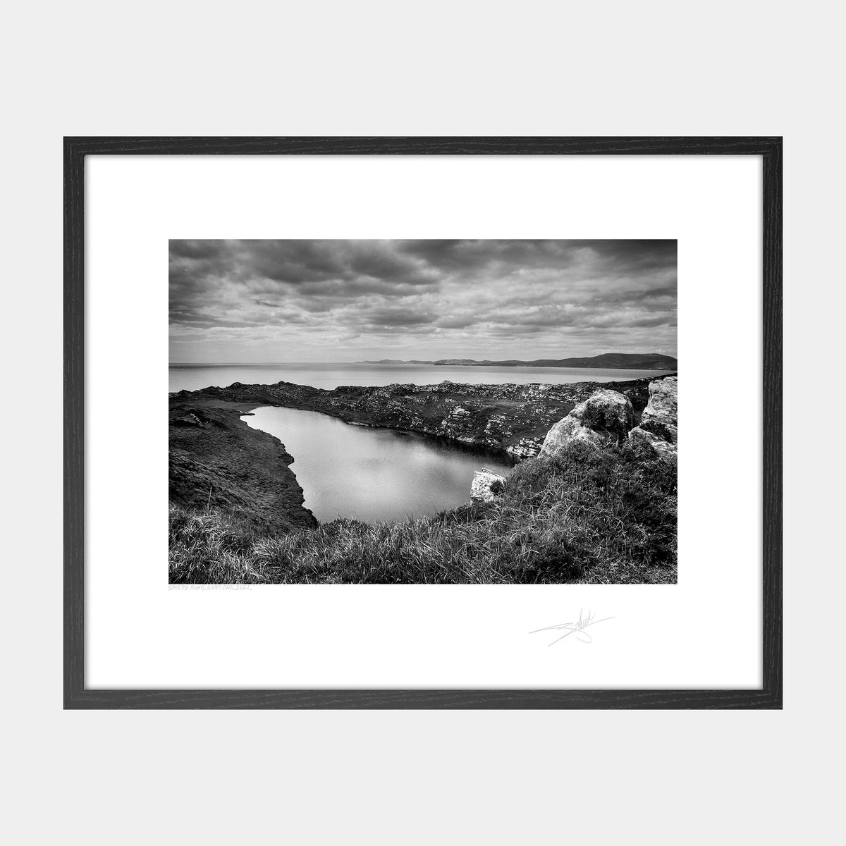 Sheep's Head