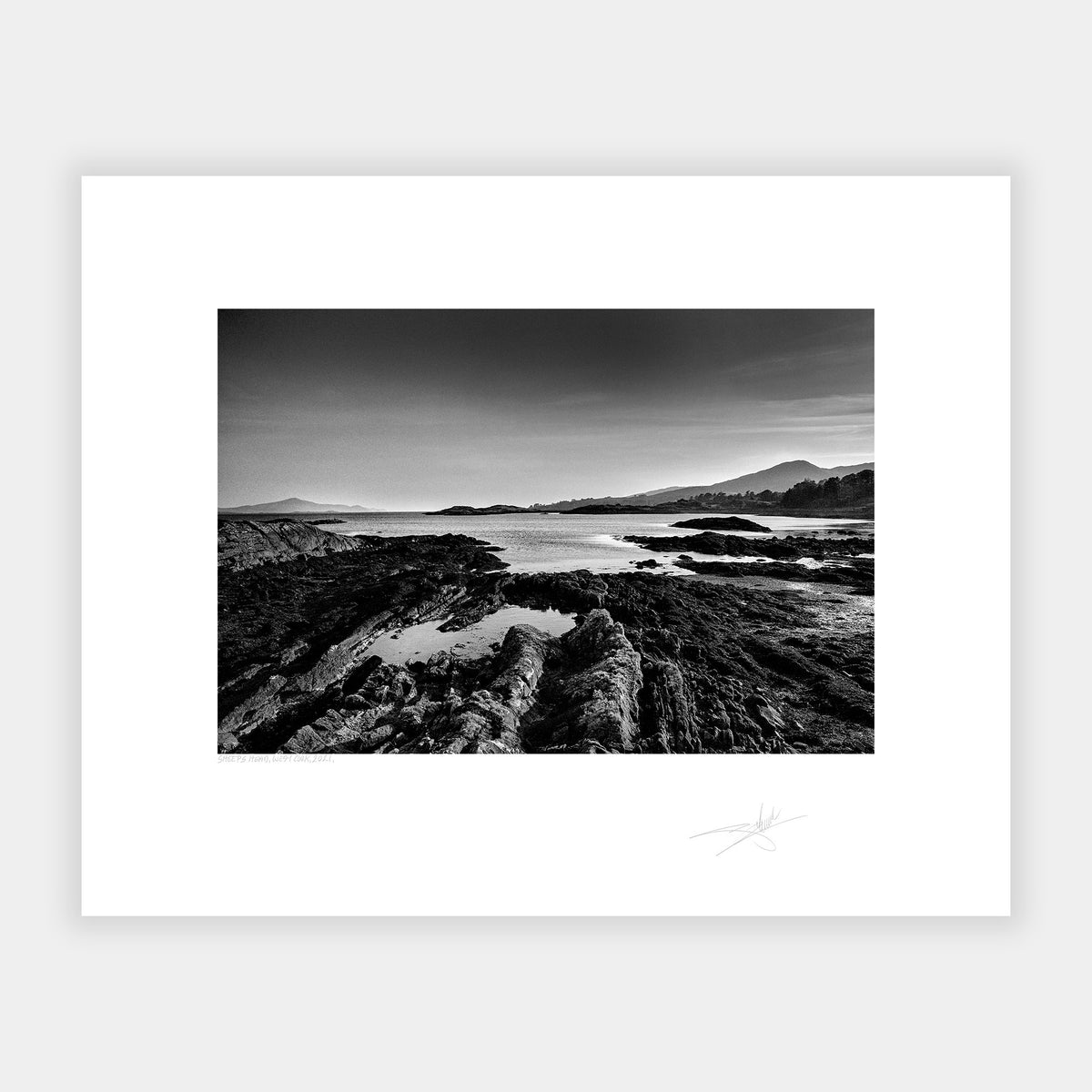 Sheep's Head