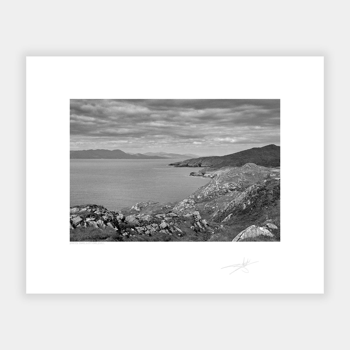 Sheep's Head