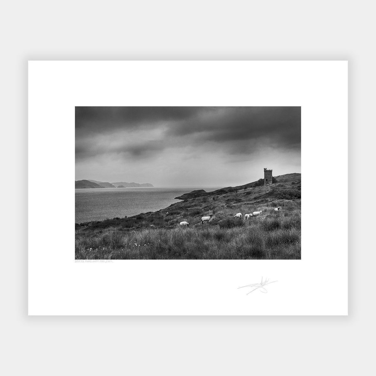 Sheep's Head