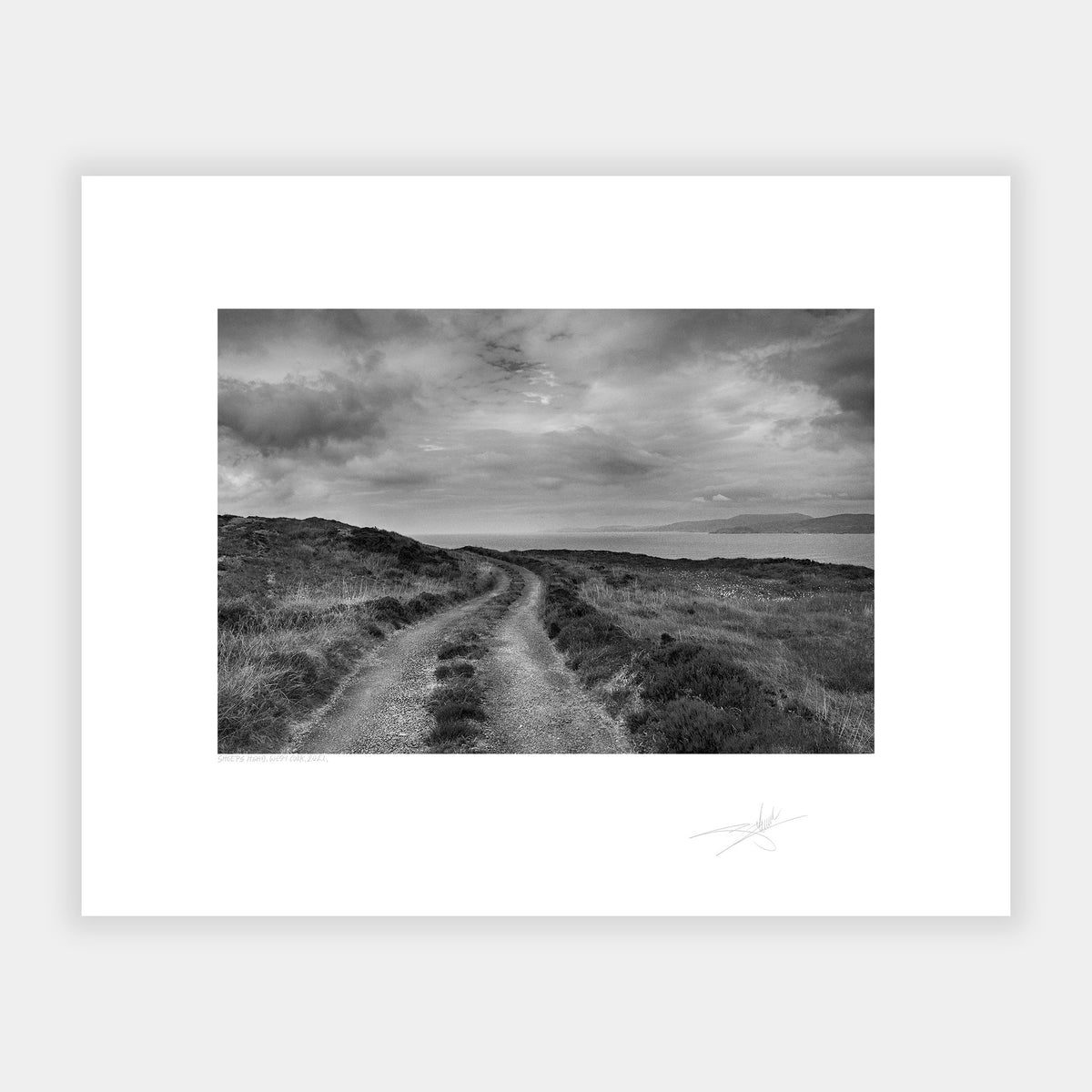 Sheep's Head