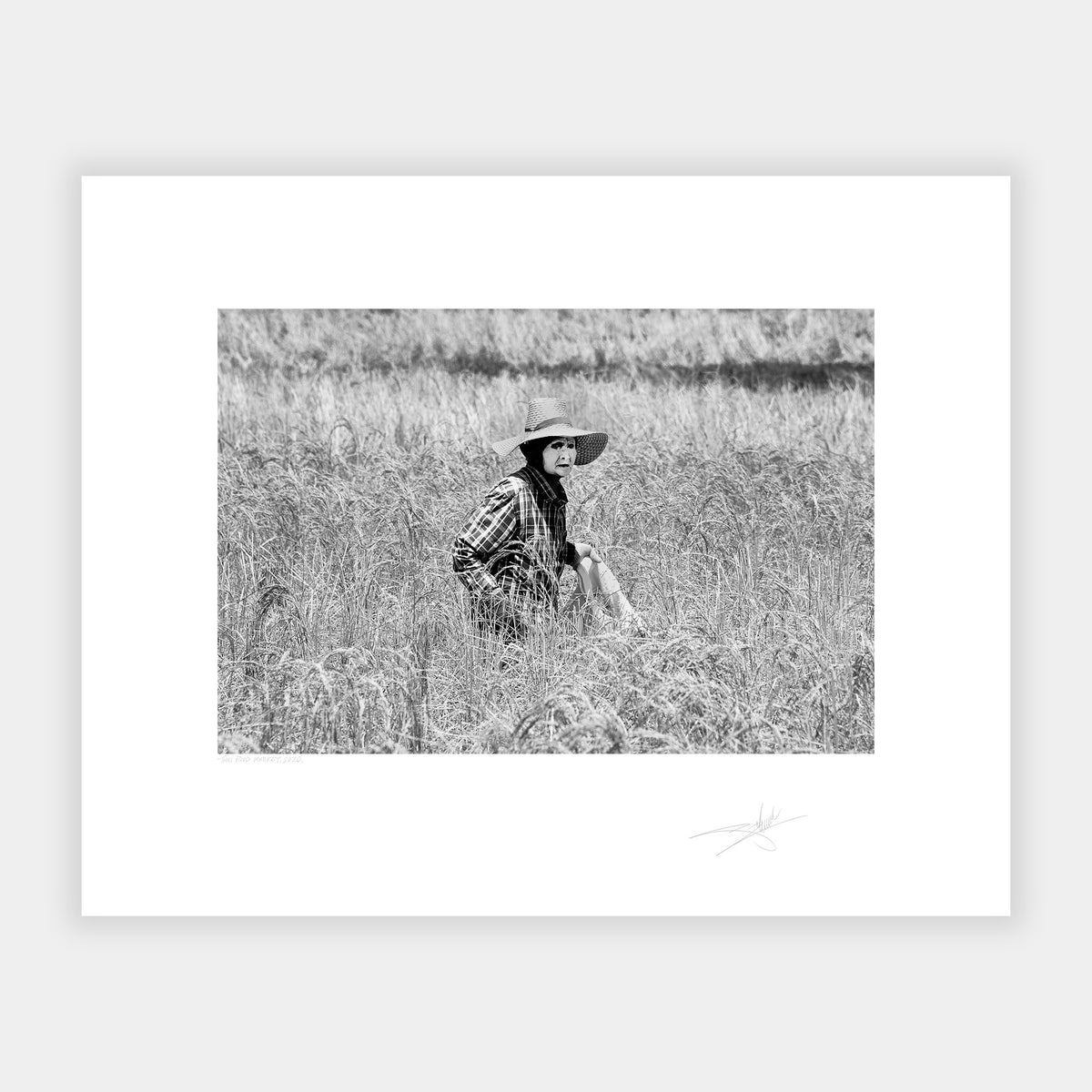 Thai Farm Worker