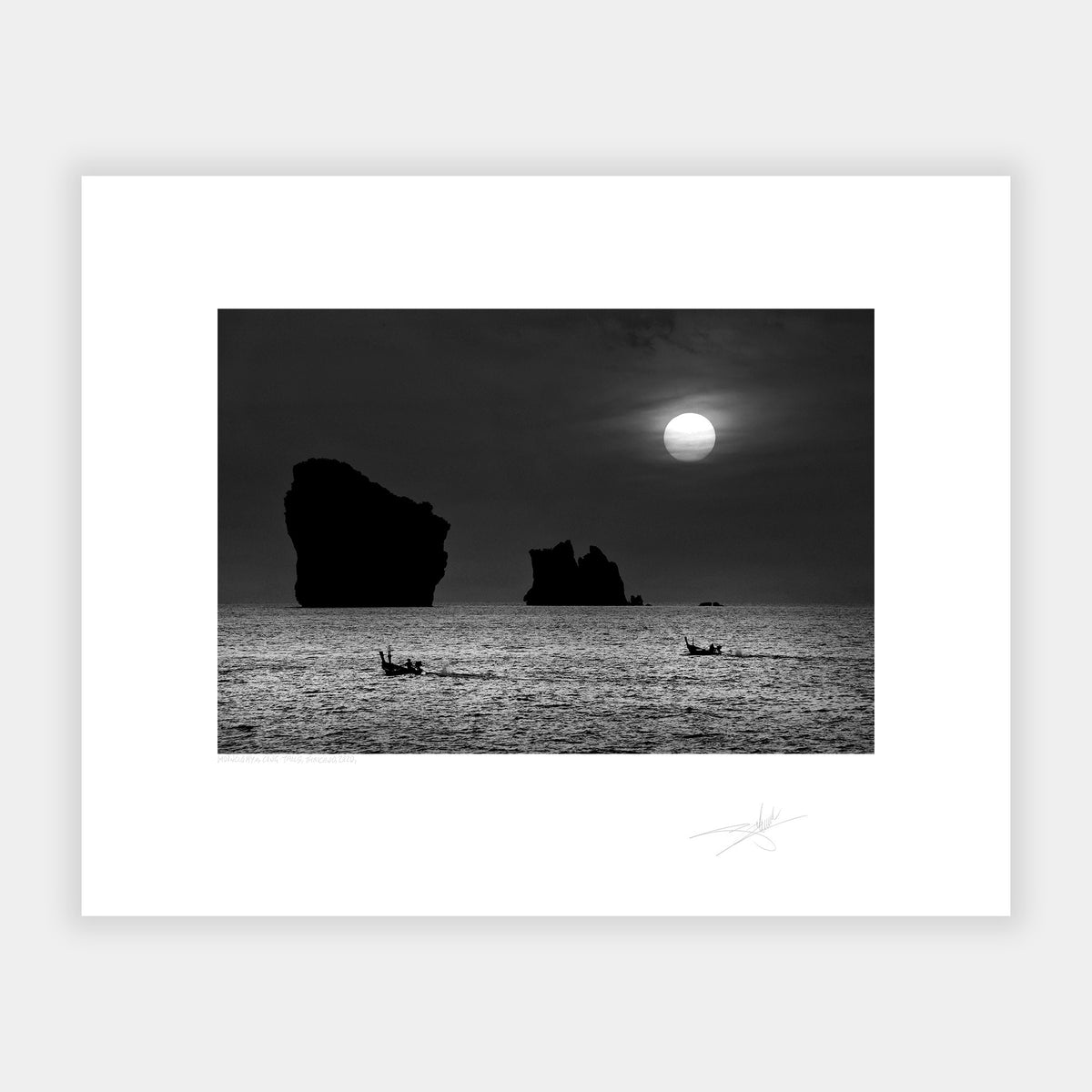 Moonlight & Long-Tails