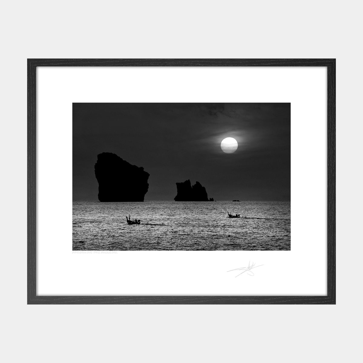 Moonlight & Long-Tails