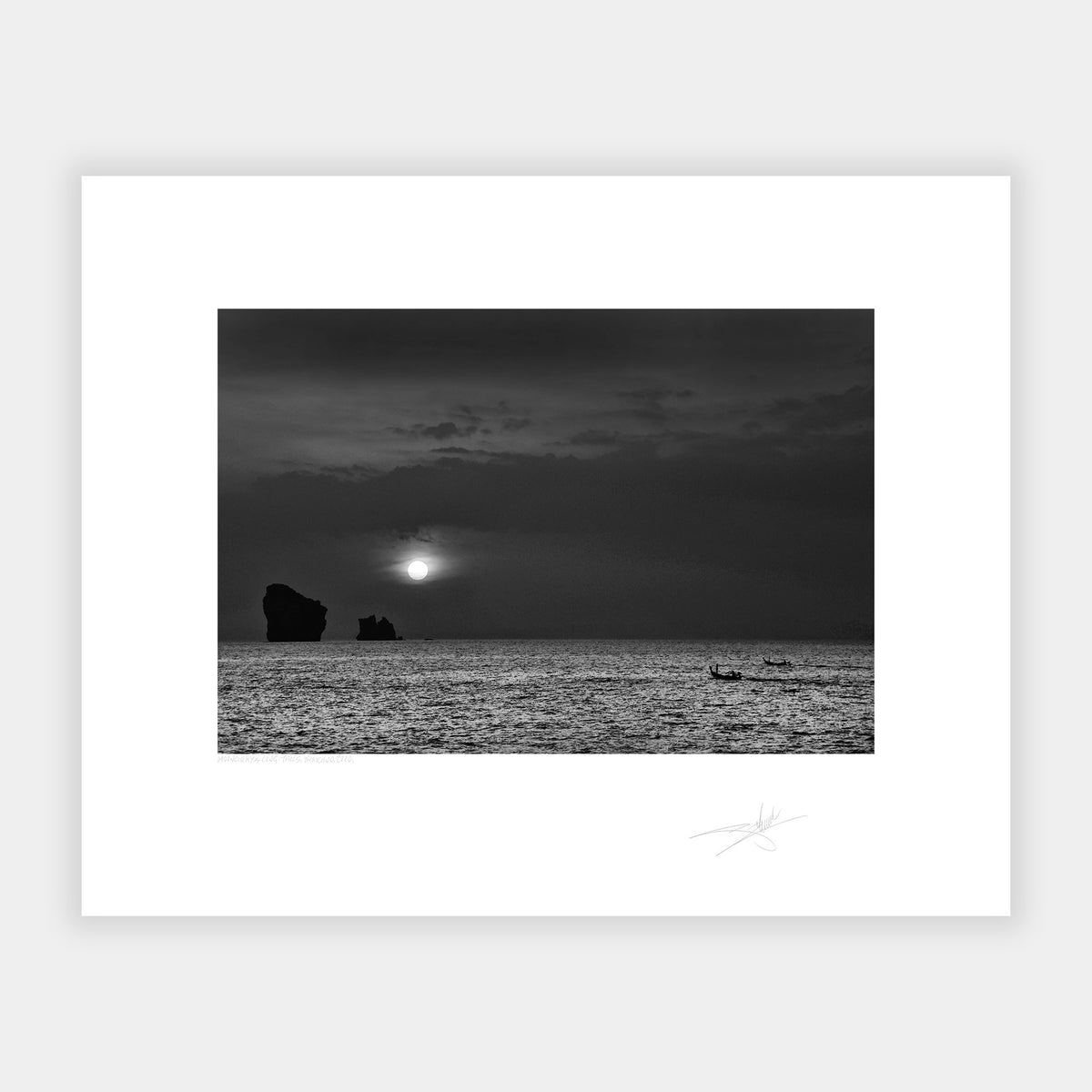 Moonlight & Long-Tails