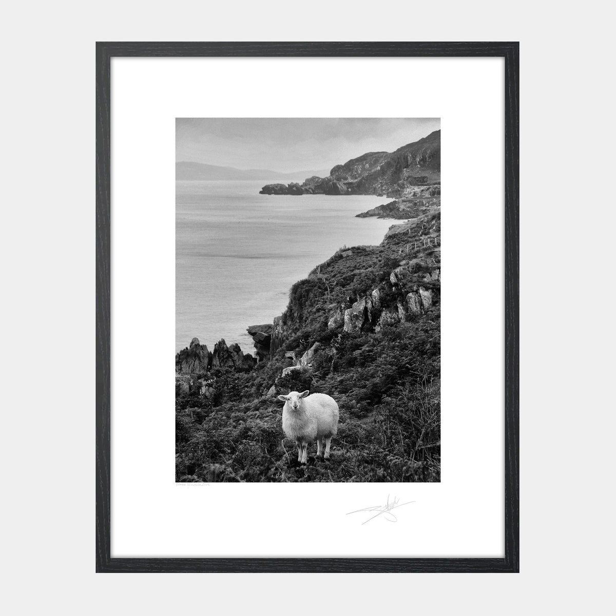 Beara Peninsula