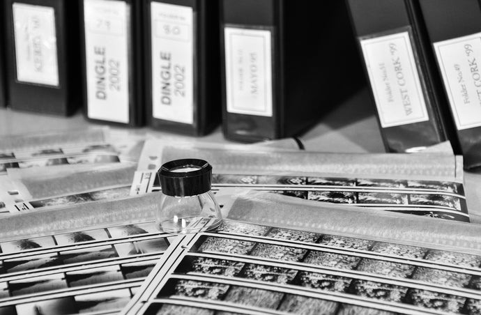 Rediscovering Past-Neglected Negatives:  50,000 Negatives Came Marching Through