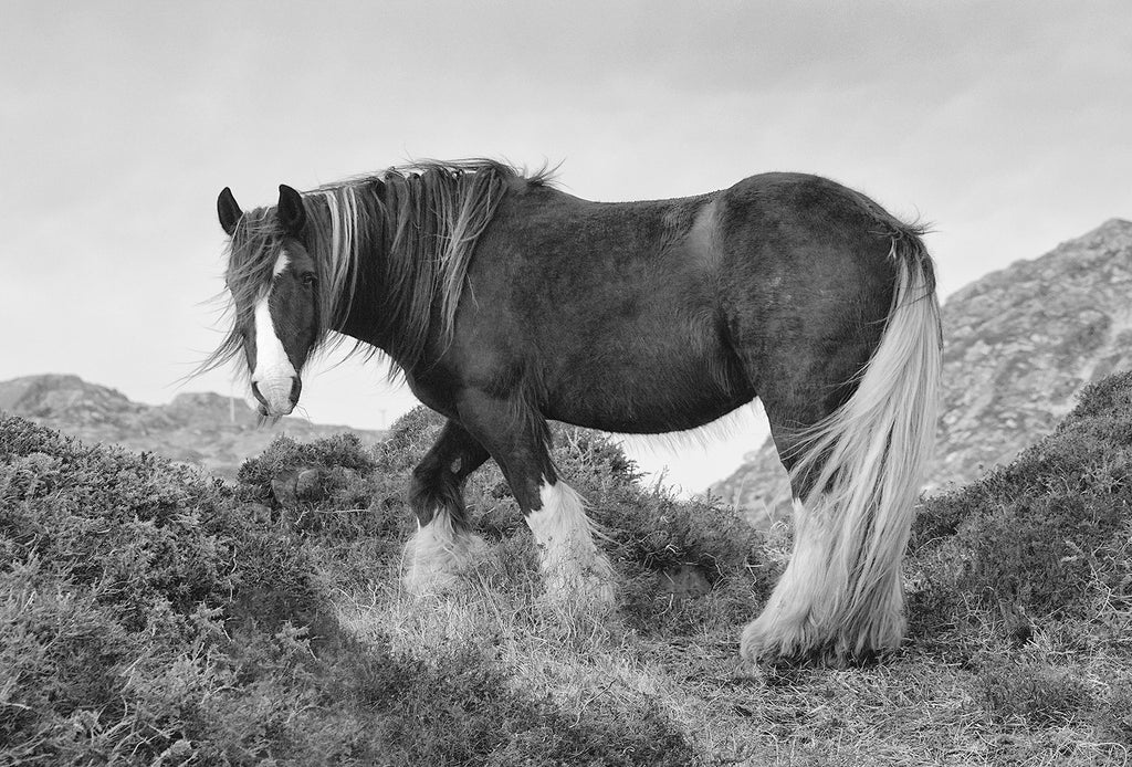 Beara Peninsula 2019 - Landscape Photography
