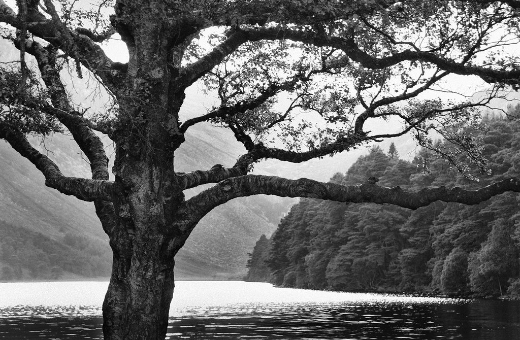 Wicklow Landscape Photos - Irish Landscape photos