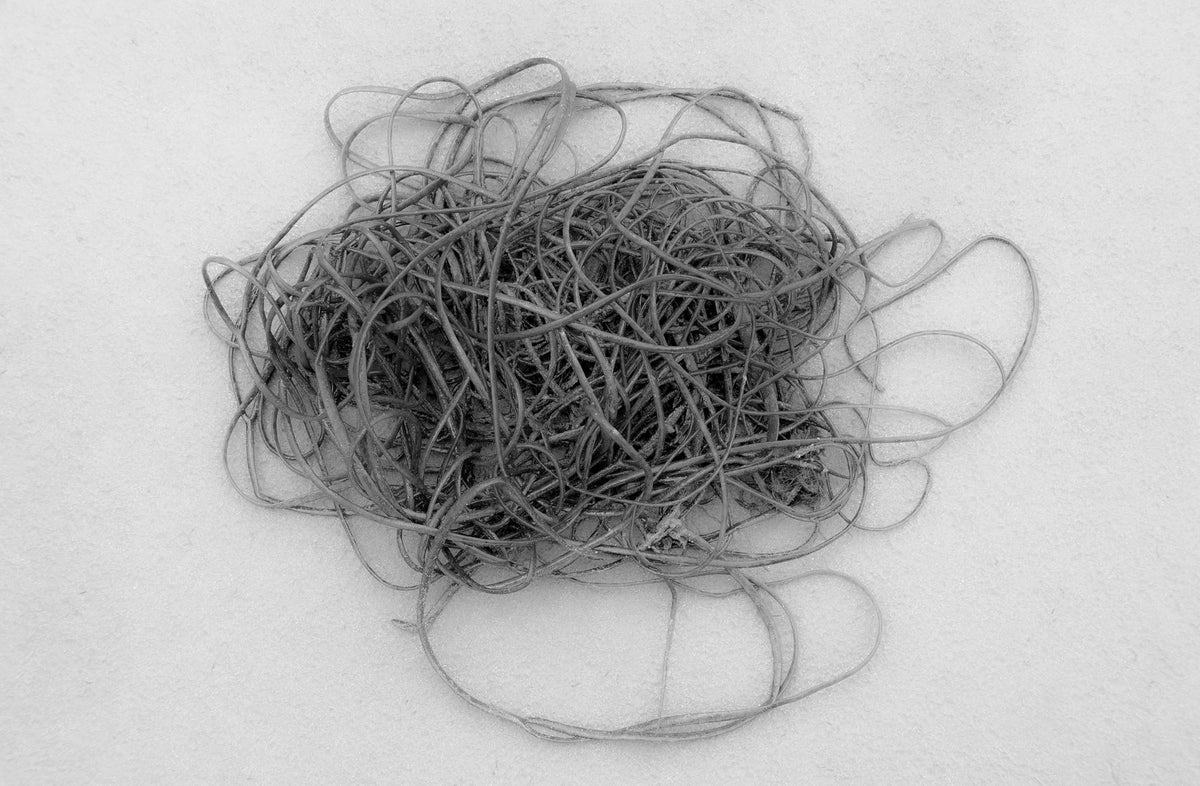 Seaweed — Black & White Photography by Giles Norman