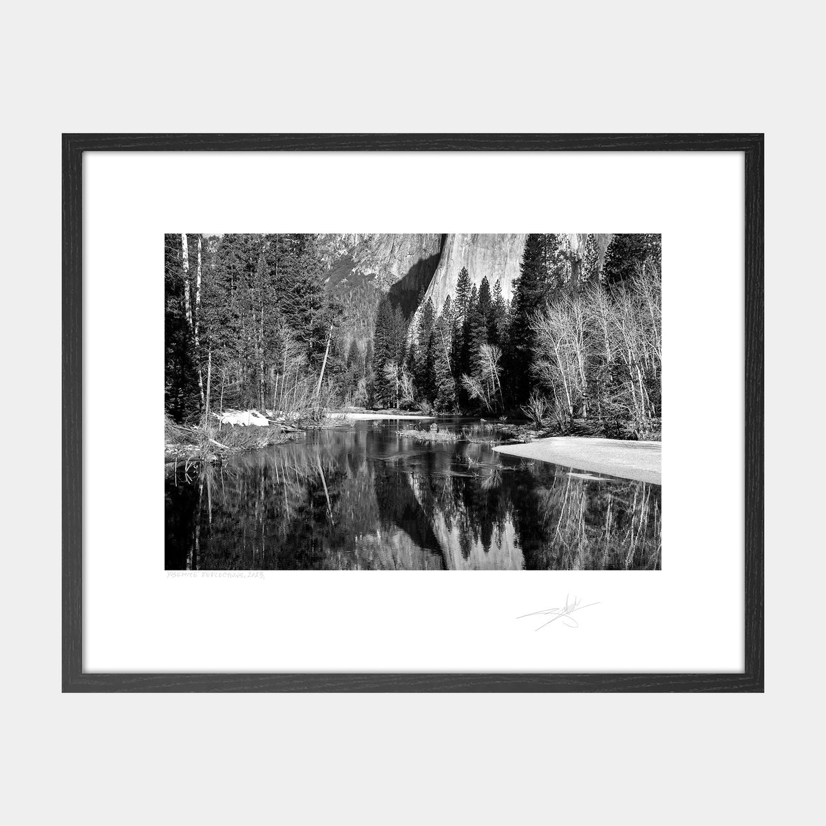 Yosemite Reflections