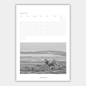 Ireland Calendar
