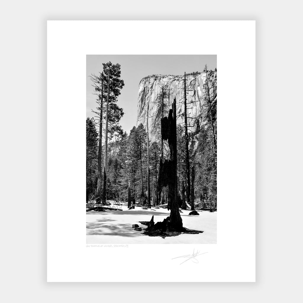 The Remains of Winter