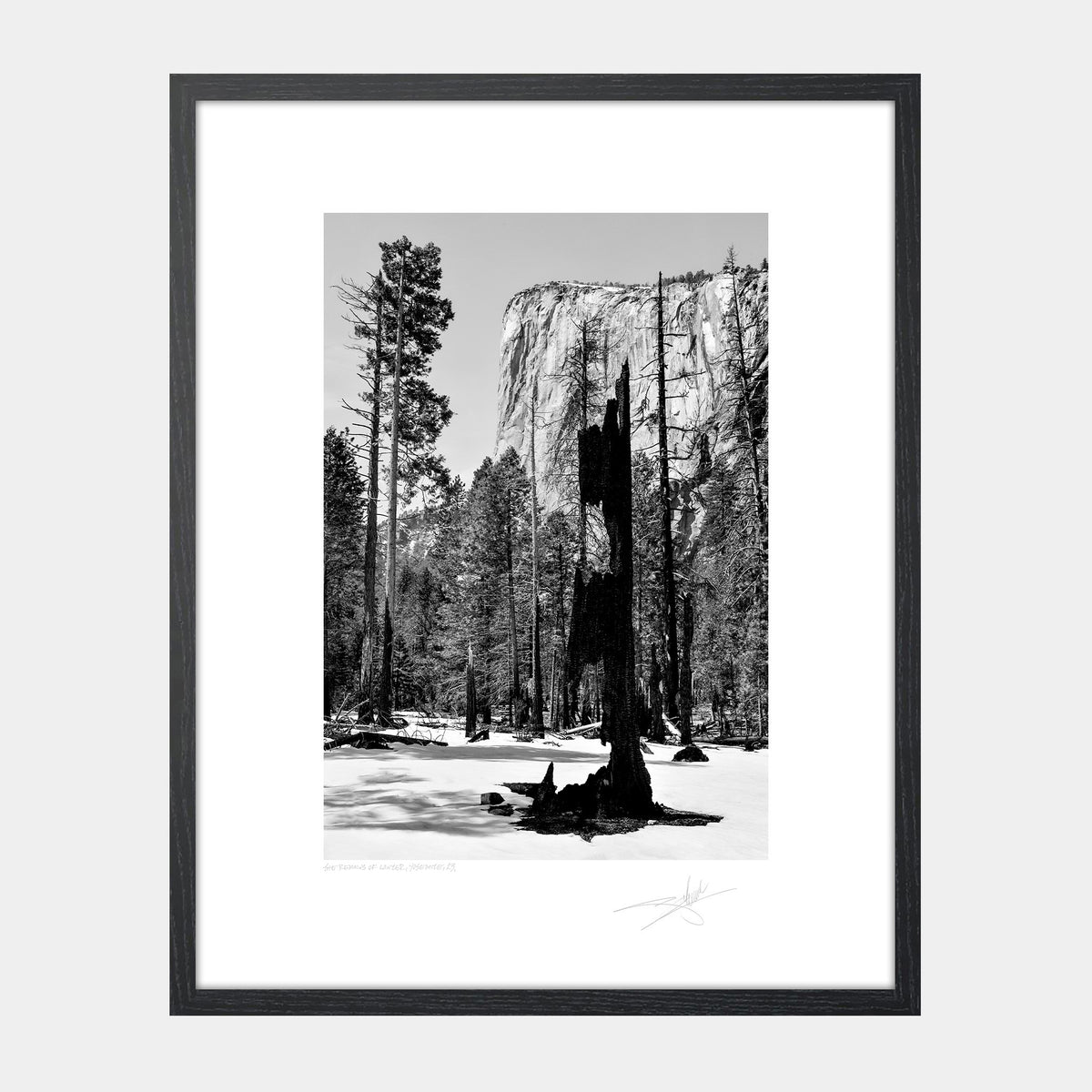 The Remains of Winter