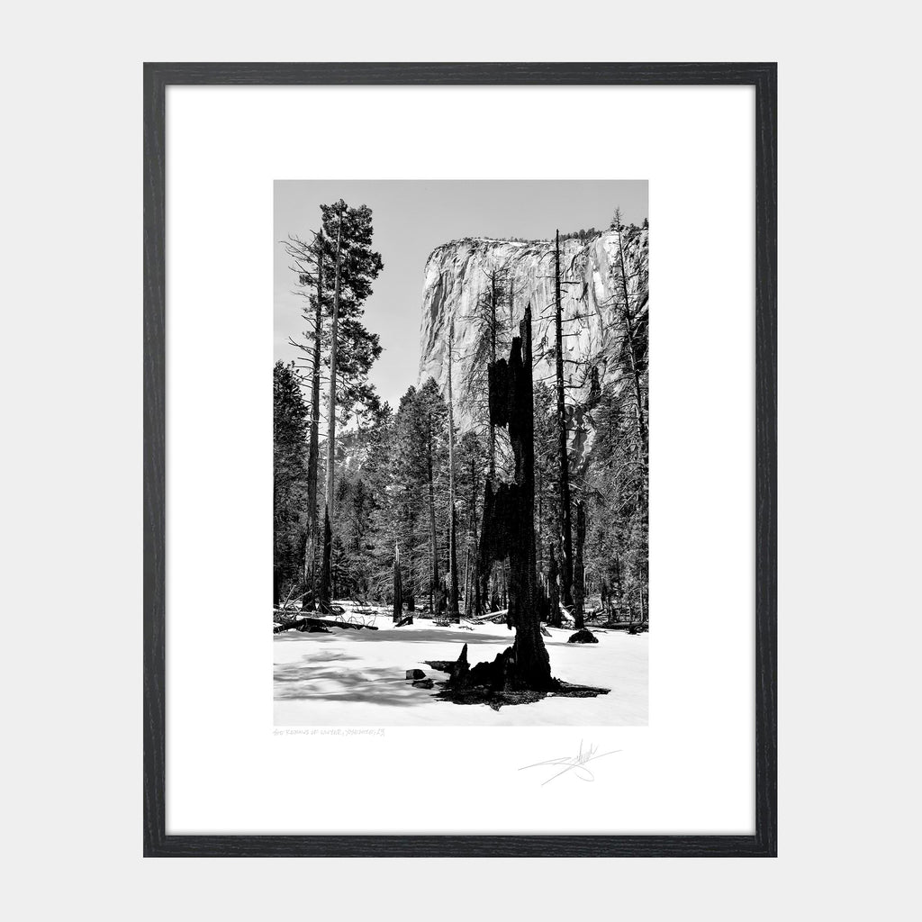 The Remains of Winter