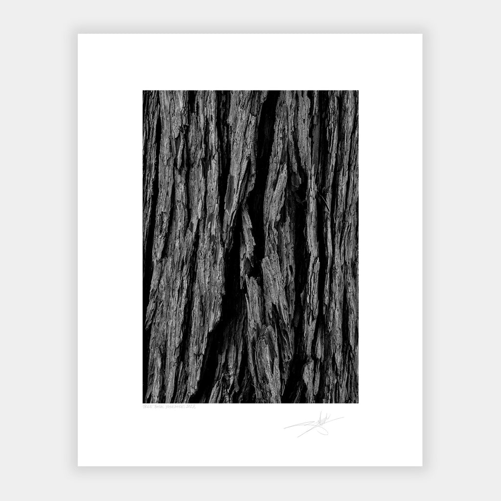 Tree Bark