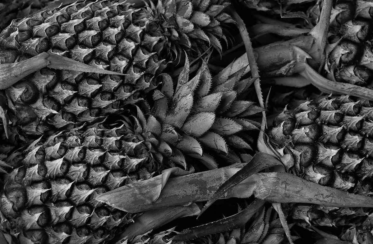Pineapple — Black & White Photography by Giles Norman
