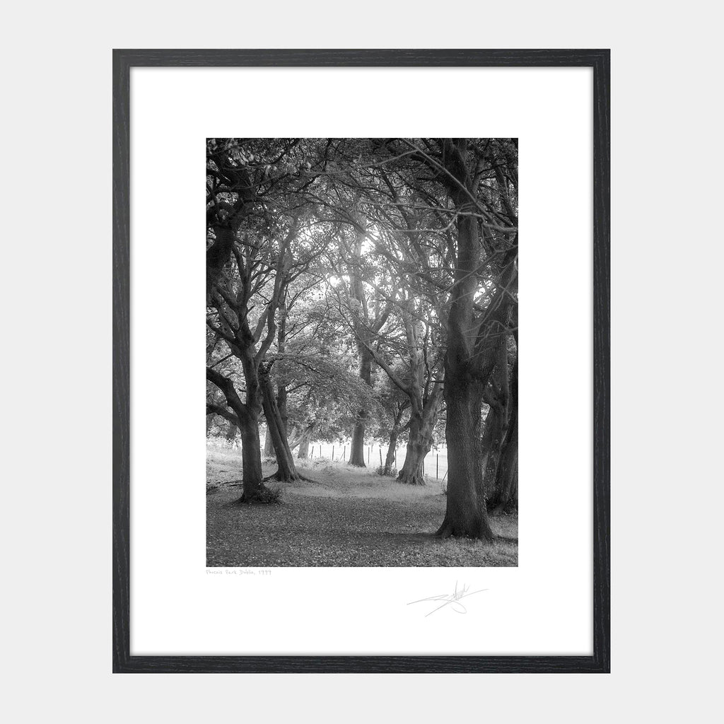 Phoenix Park Dublin 1999