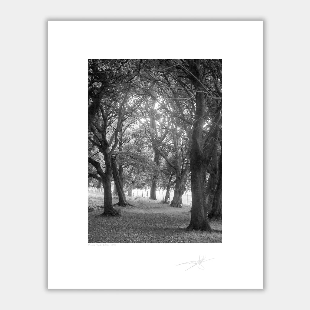 Phoenix Park Dublin 1999