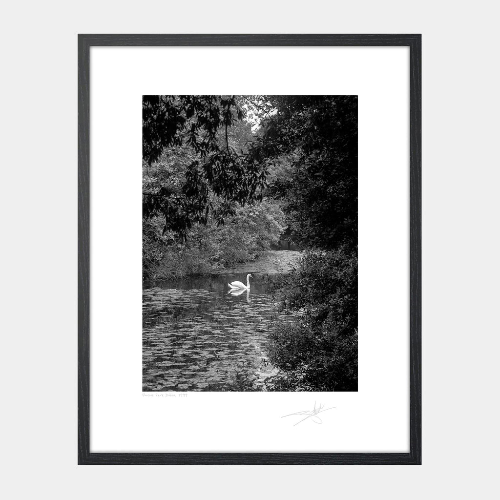 Phoenix Park Dublin 1999