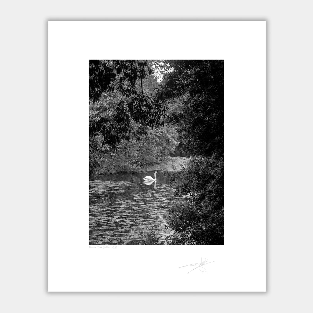 Phoenix Park Dublin 1999