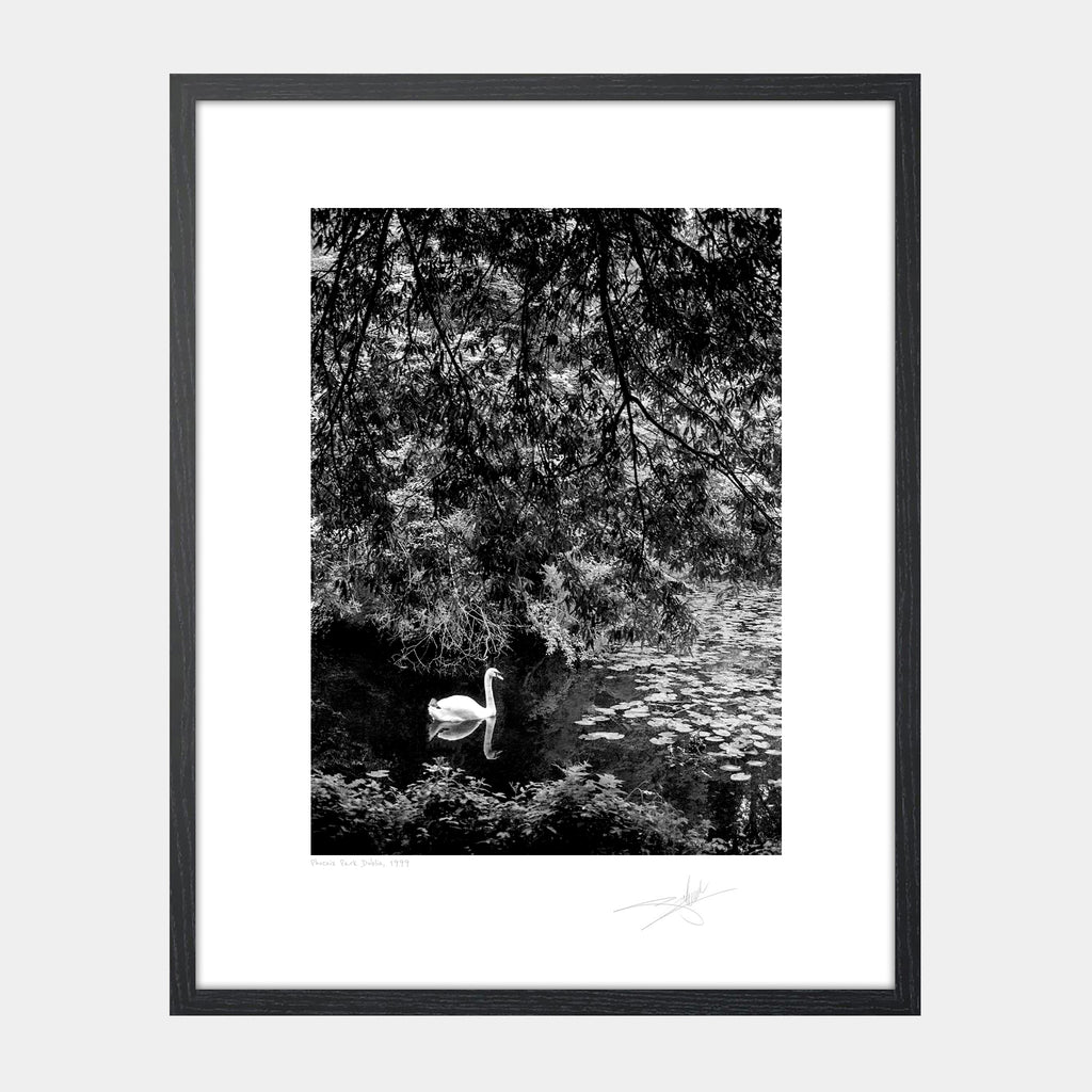 Phoenix Park Dublin 1999