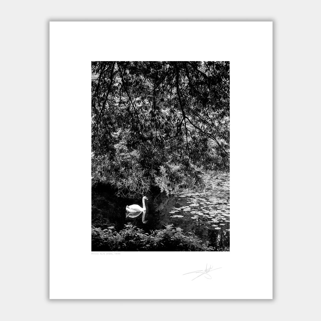 Phoenix Park Dublin 1999