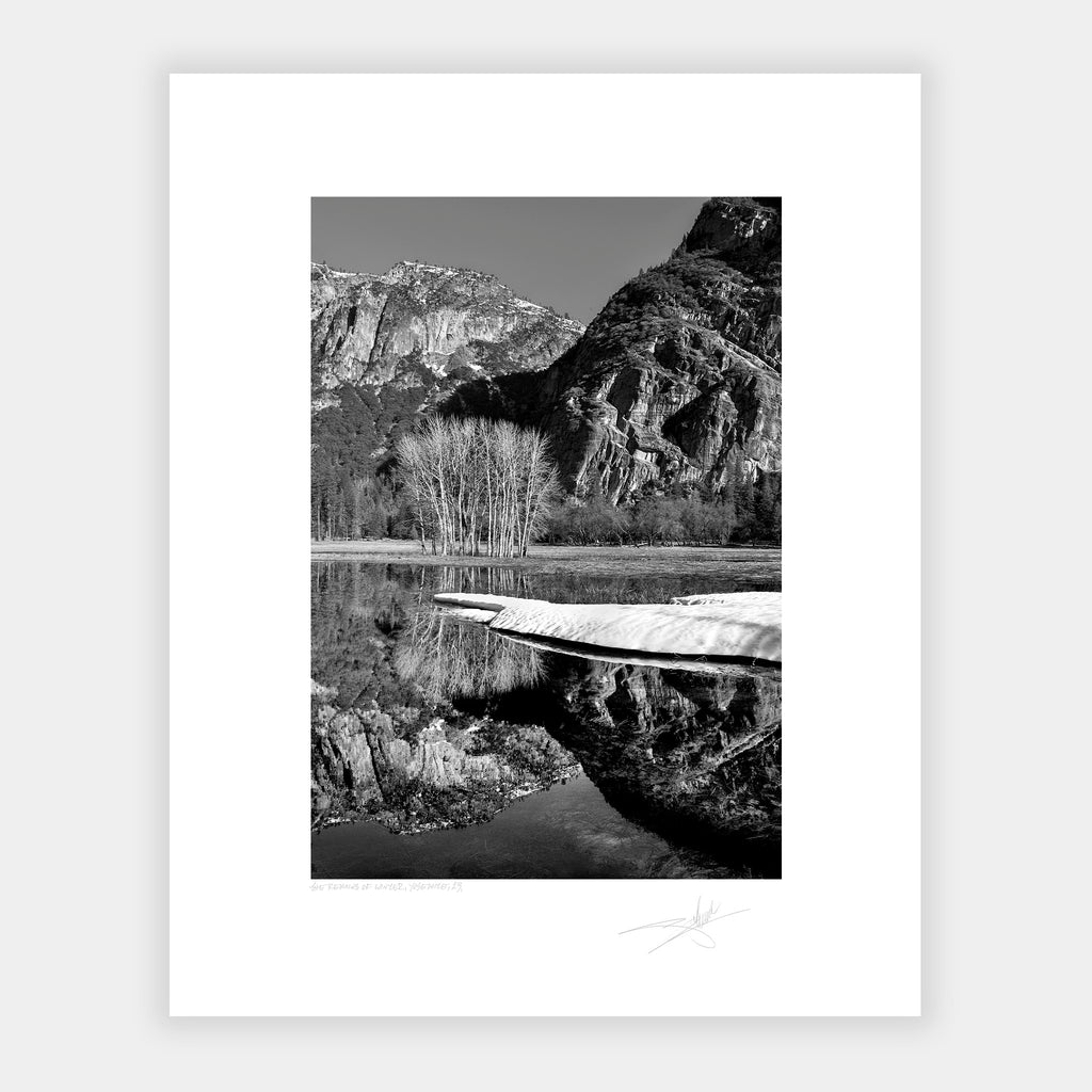 The Remains of Winter