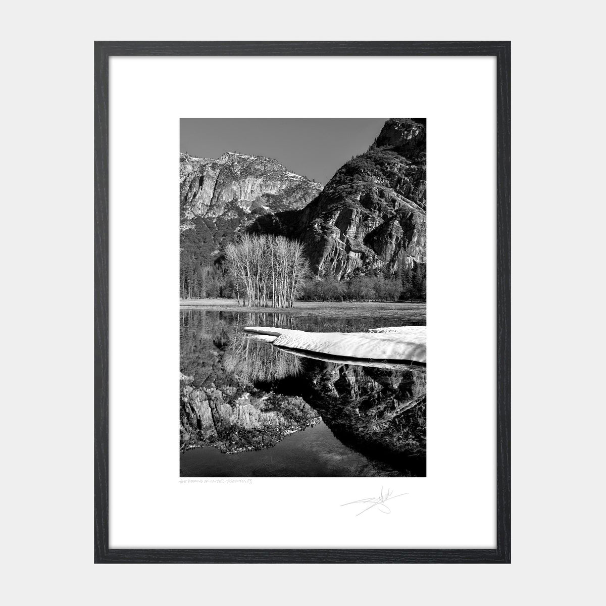 The Remains of Winter