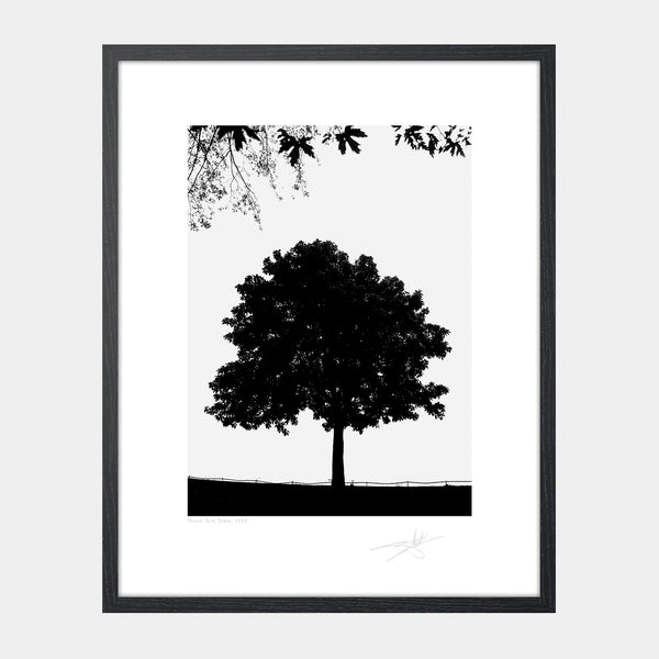 Phoenix Park 1999