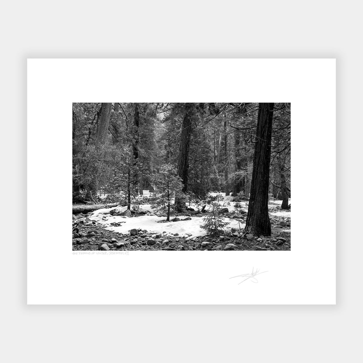 The Remains of Winter