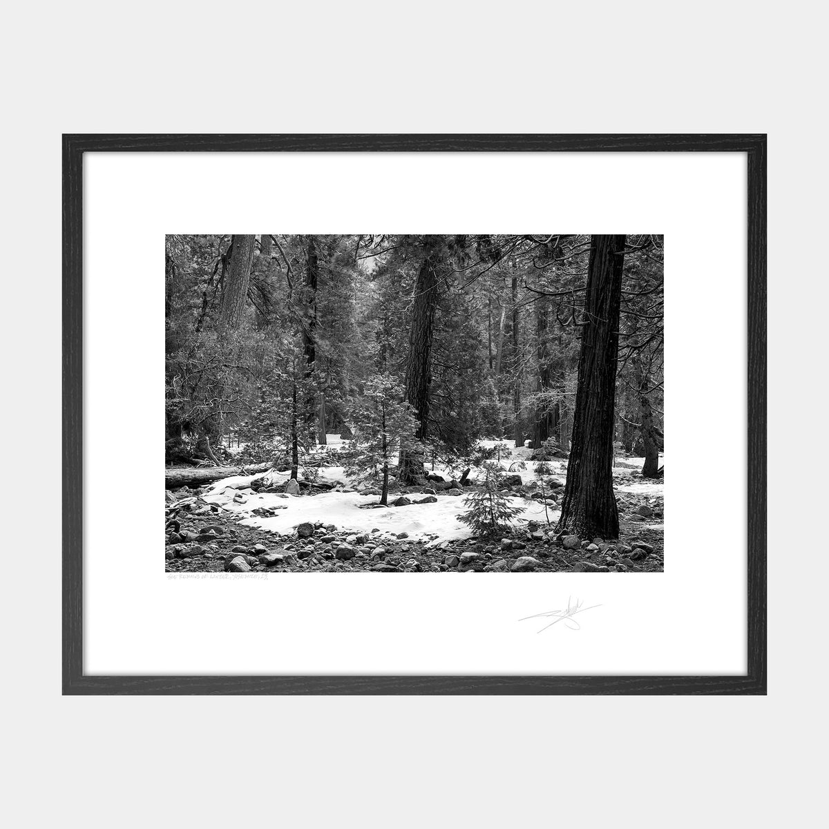 The Remains of Winter