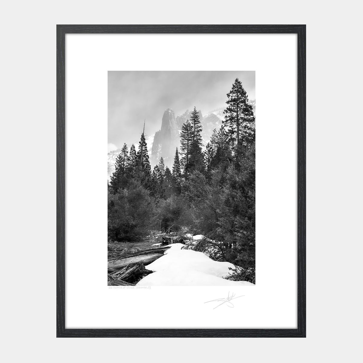 The Remains of Winter