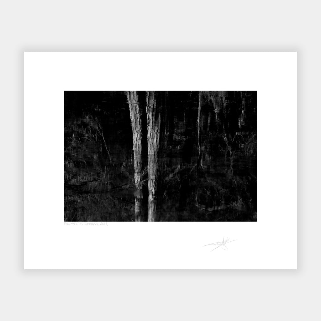 Yosemite Reflections