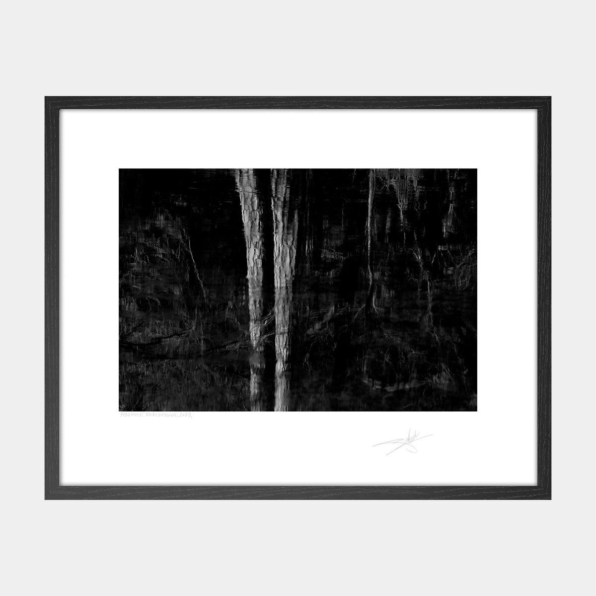 Yosemite Reflections