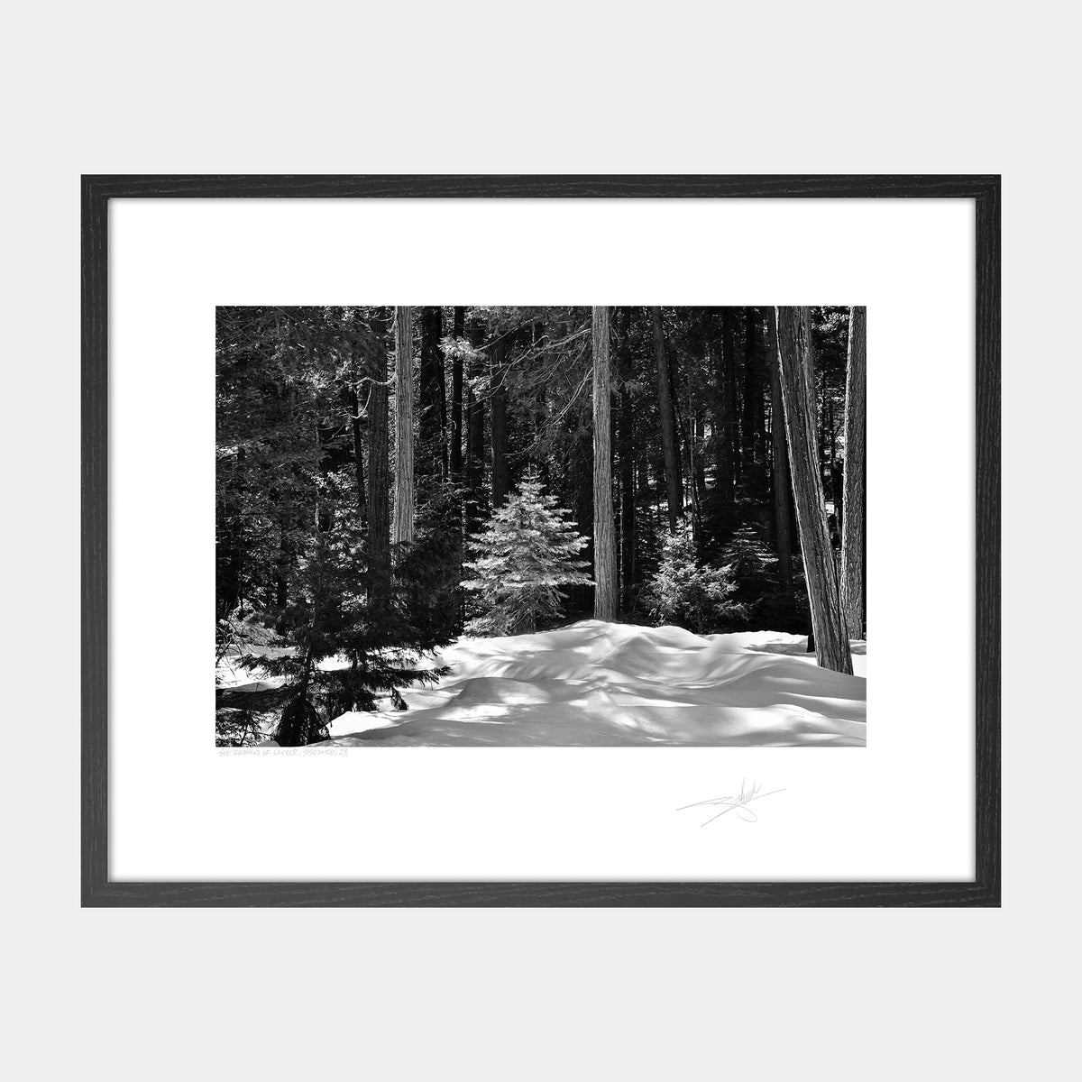 The Remains of Winter