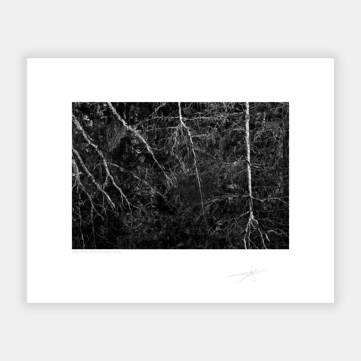 Yosemite Reflections