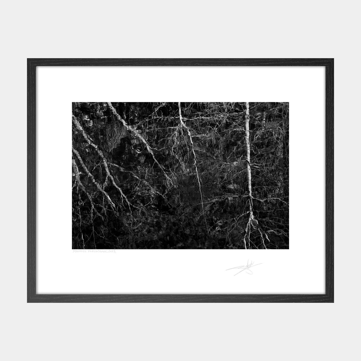 Yosemite Reflections