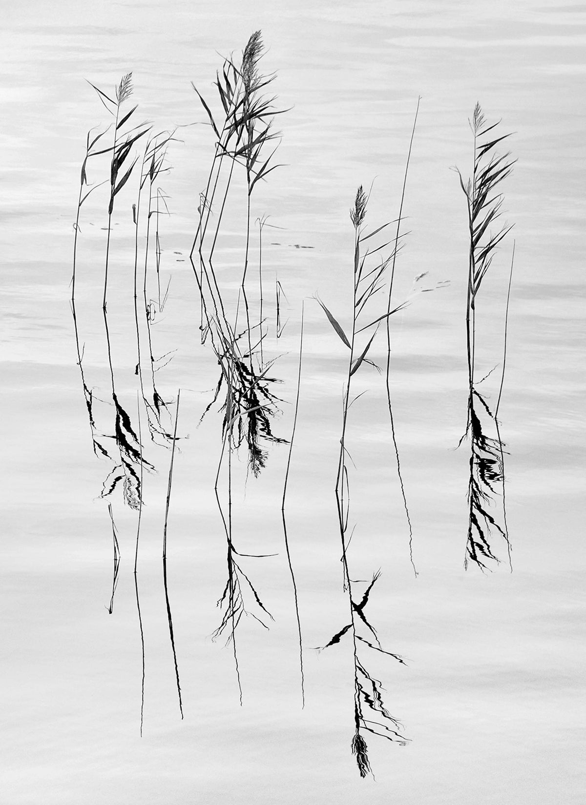 Reflections — Black & White Photography by Giles Norman