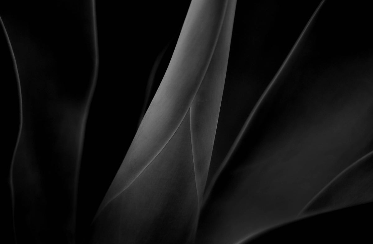 Light & Shadow — Black & White Photography by Giles Norman