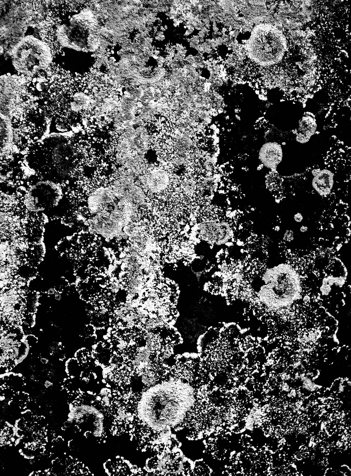 Patterns — Black & White Photography by Giles Norman