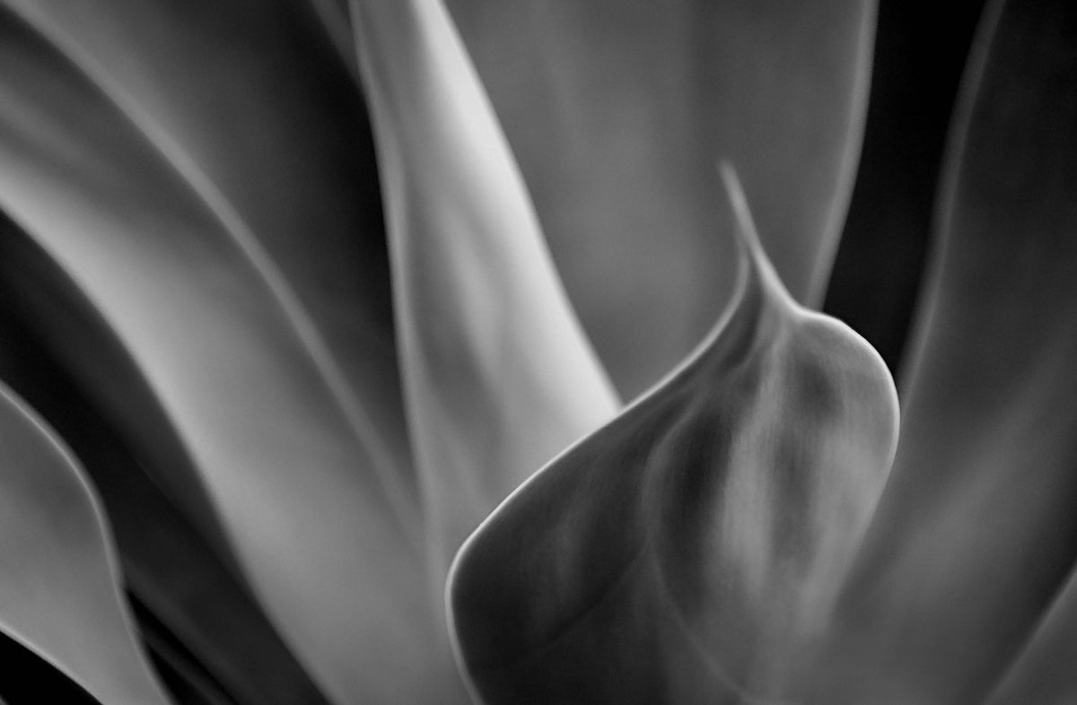 Light & Shadow — Black & White Photography by Giles Norman