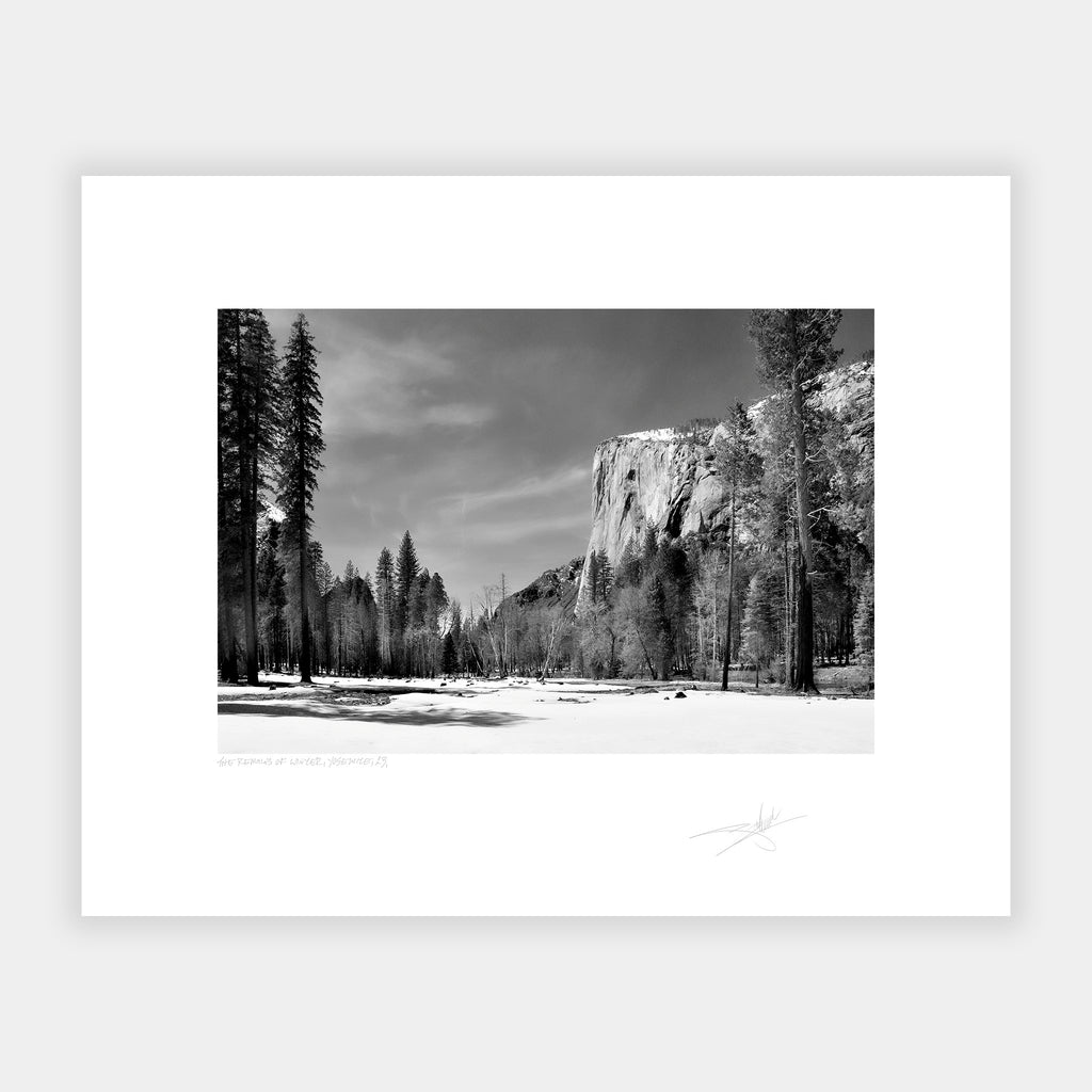 The Remains of Winter