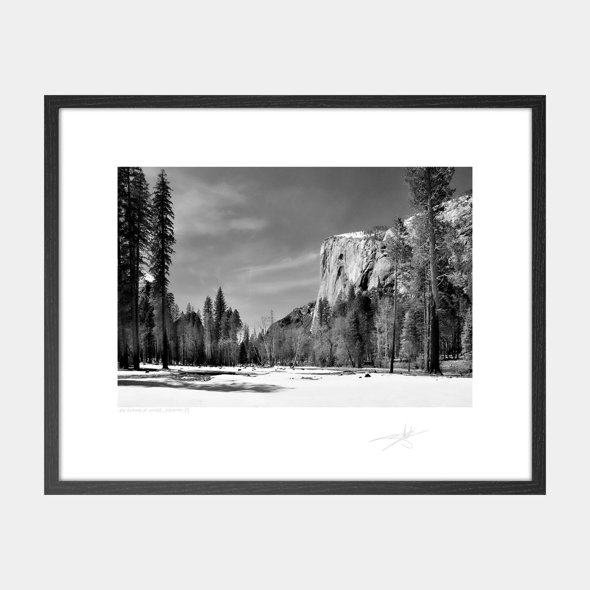 The Remains of Winter