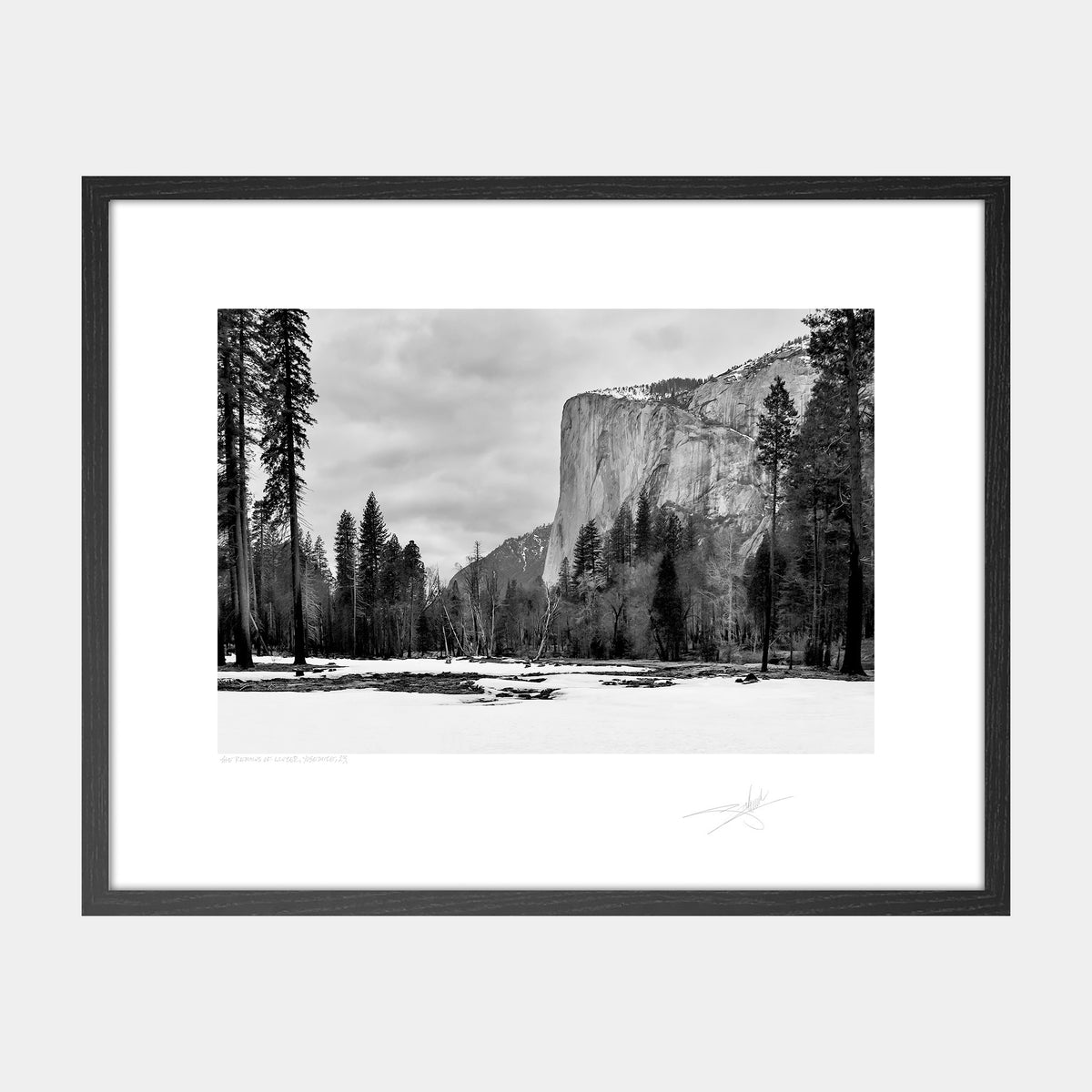 The Remains of Winter