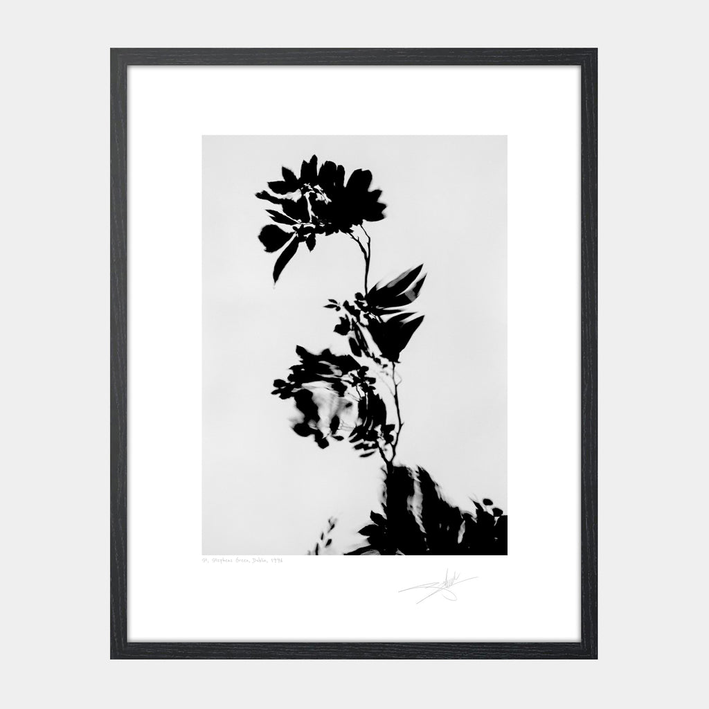 St Stephens Green Dublin 1996